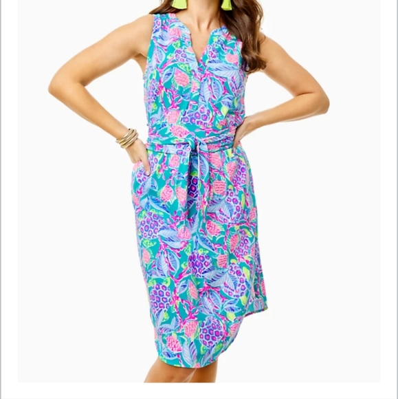 Lilly Pulitzer Dresses & Skirts - Nwt lily pulitzer naila midi dress madives